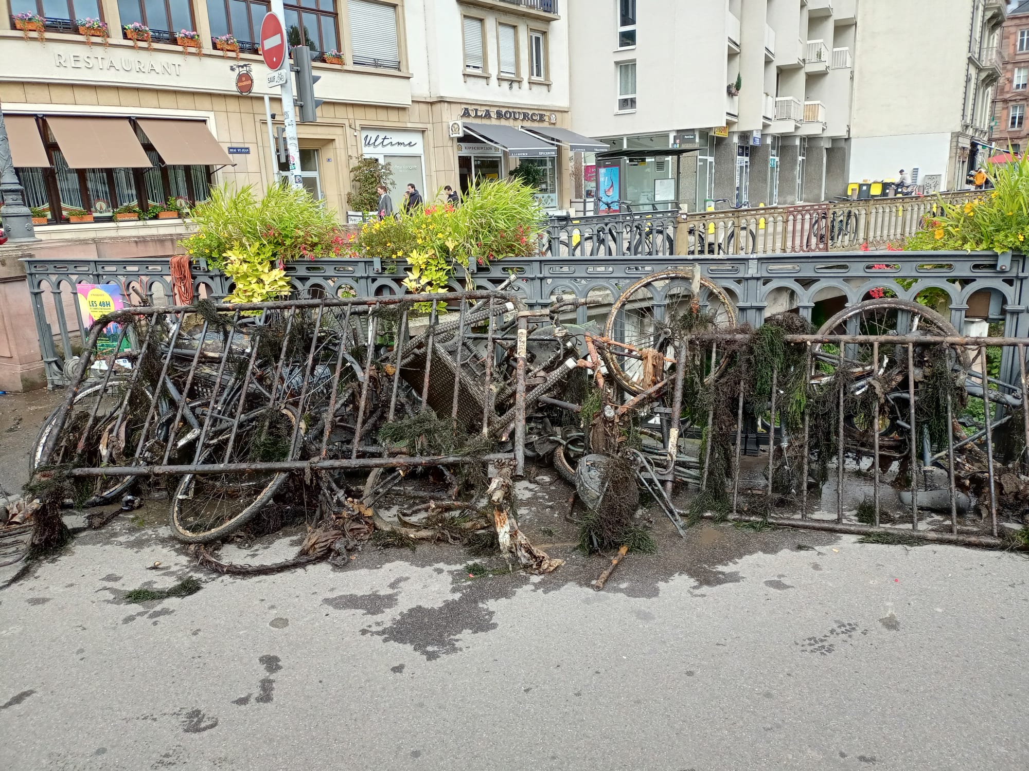 800 kg de déchets retirés dE L’ILL à Strasbourg !